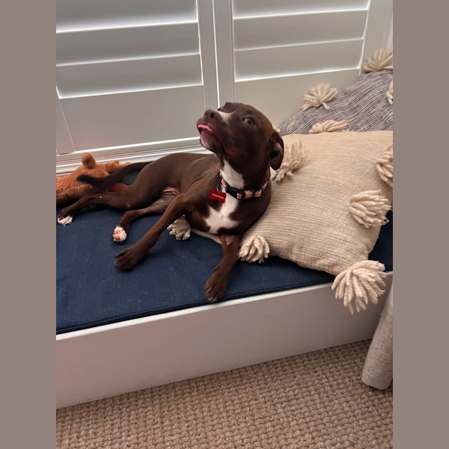 Photo of Peggy