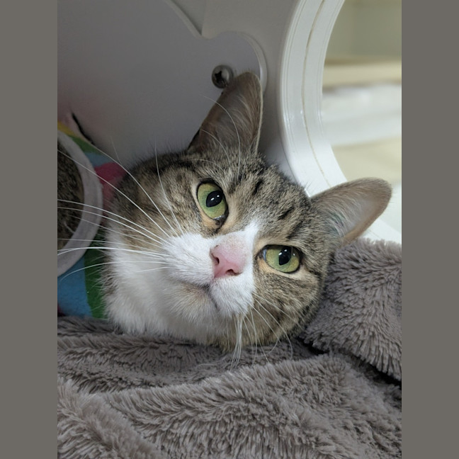 Photo of 🎭 Mischief 6423 🎭