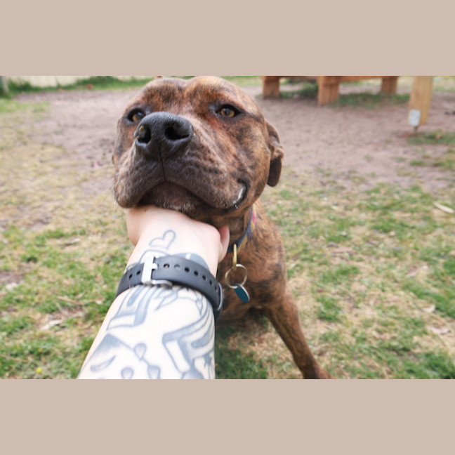 Photo of Bruce