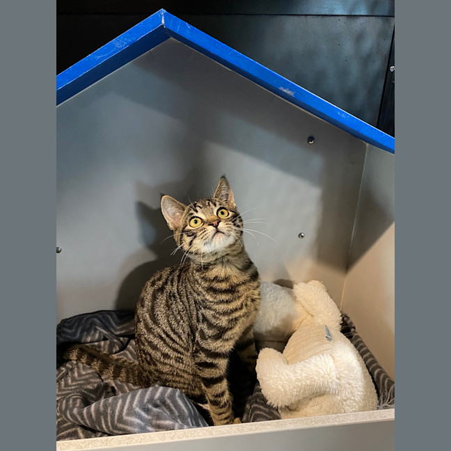 Photo of Simon