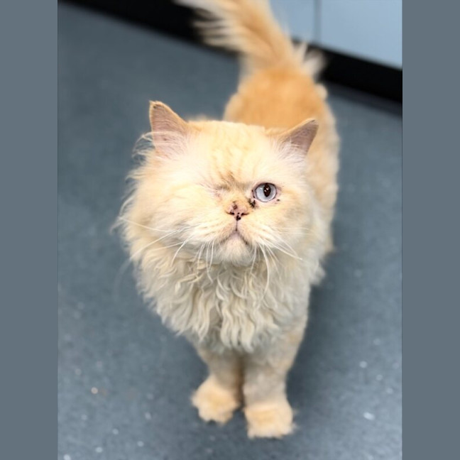 Photo of Sammy