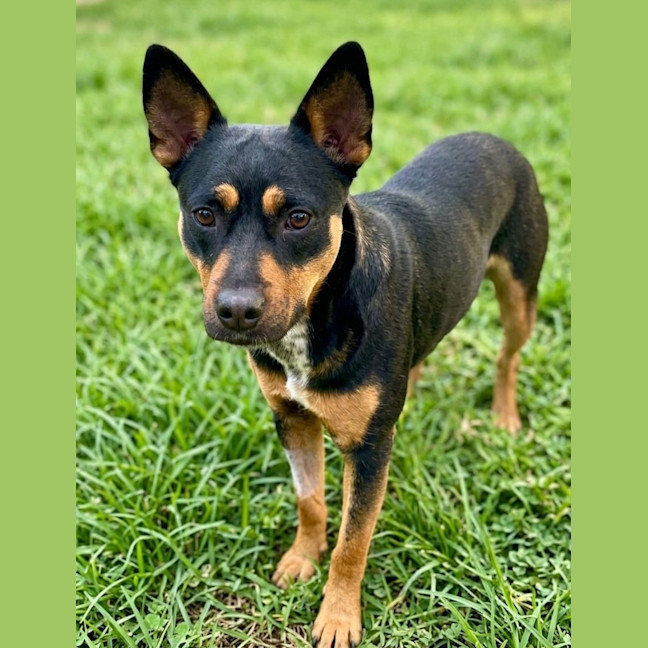 Photo of Winnie