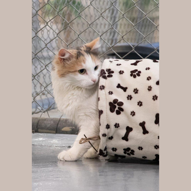 Photo of Ruth Russelton