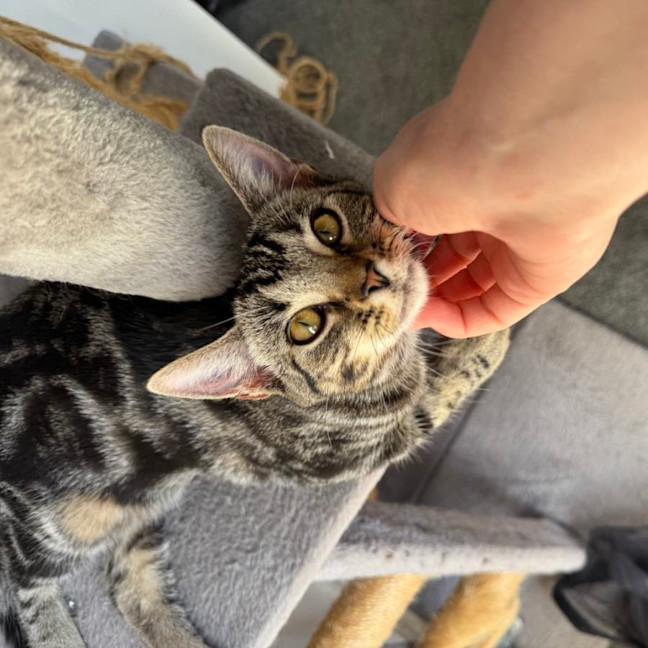 Photo of Liza   Located In Armadale