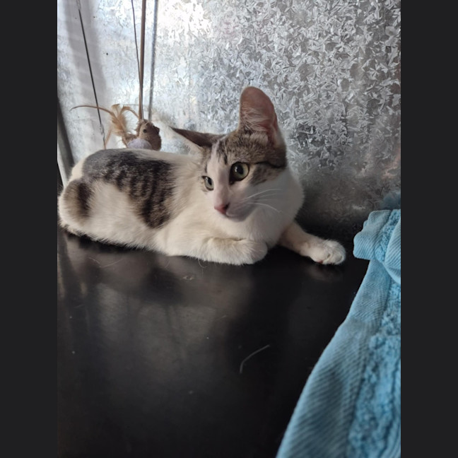 Photo of Whitney! 🌟