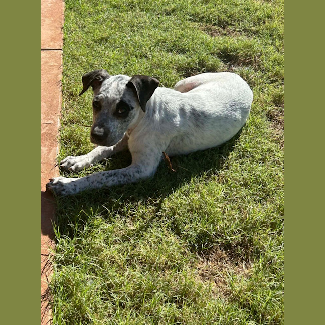 Photo of Bertha