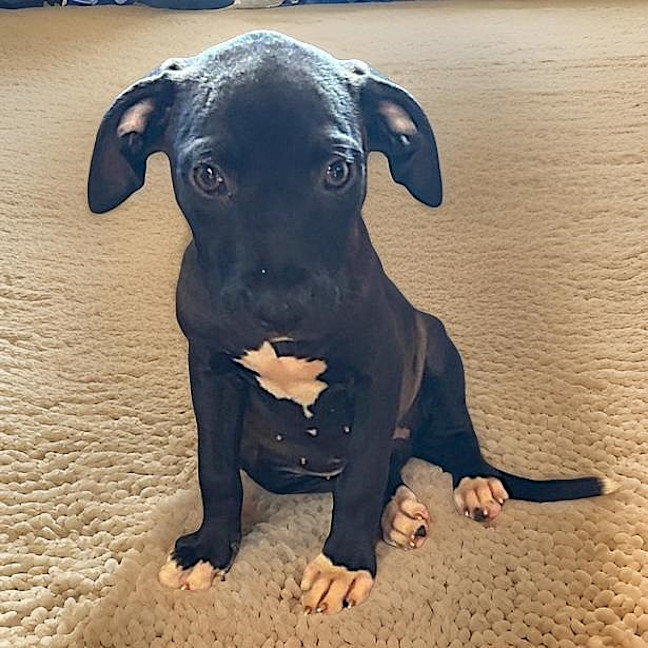 Photo of Farrah