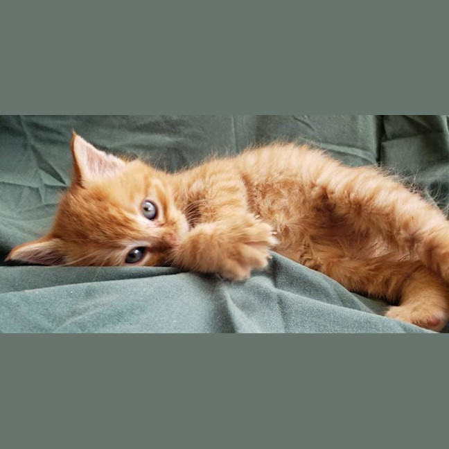 Photo of Ed