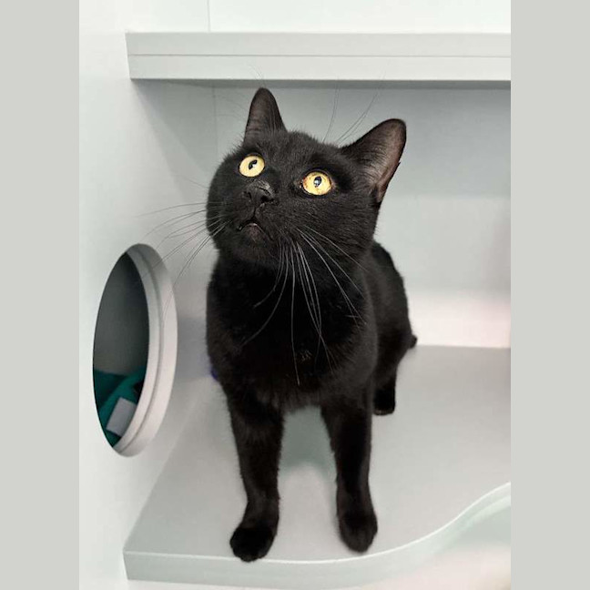 Photo of Missy
