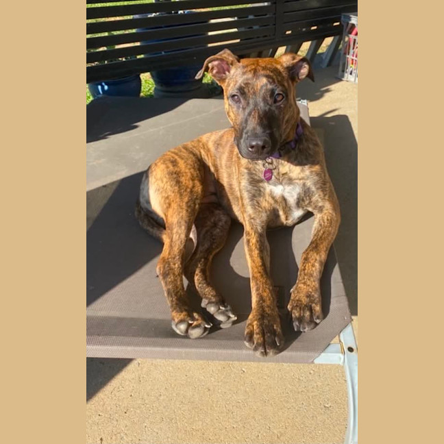 Photo of Penny