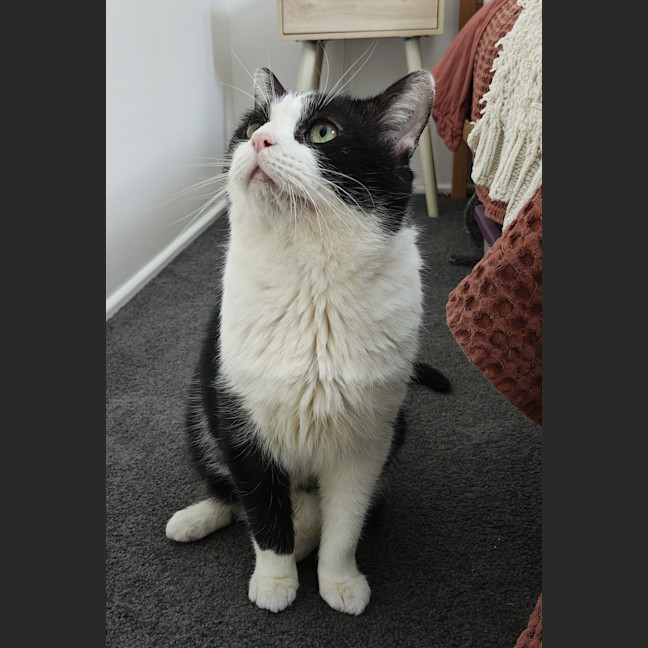 Photo of Billy