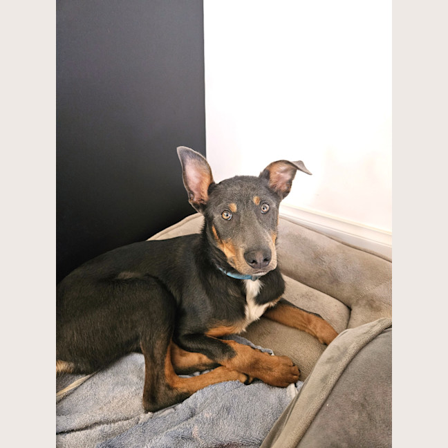 Photo of Urban