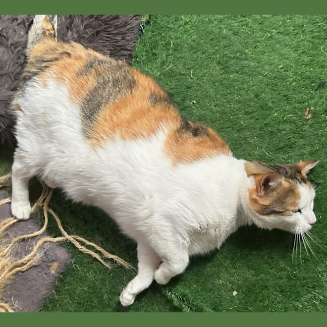 Photo of Marlee