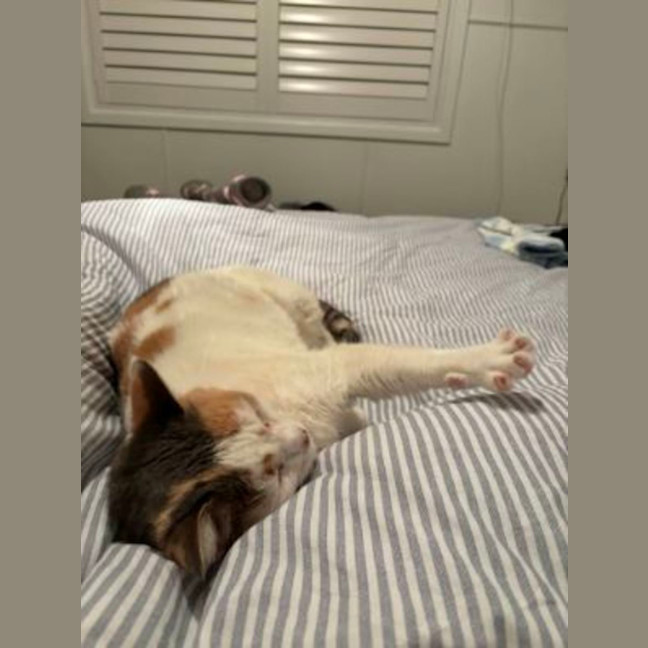 Photo of Millie