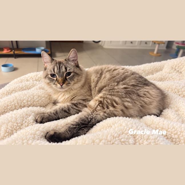 Photo of Gracie Mae