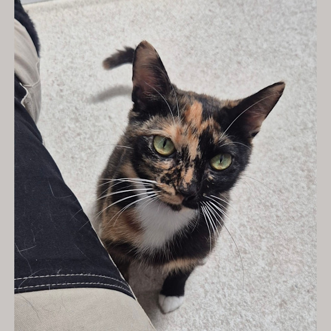 Photo of Faye (8925)