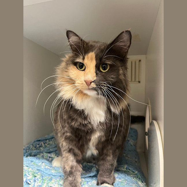Photo of Madeline