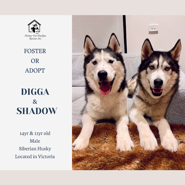 Photo of Digga & Shadow
