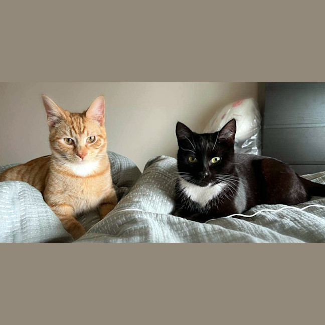 Photo of Bear & Hazel