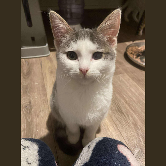 Photo of Kenai