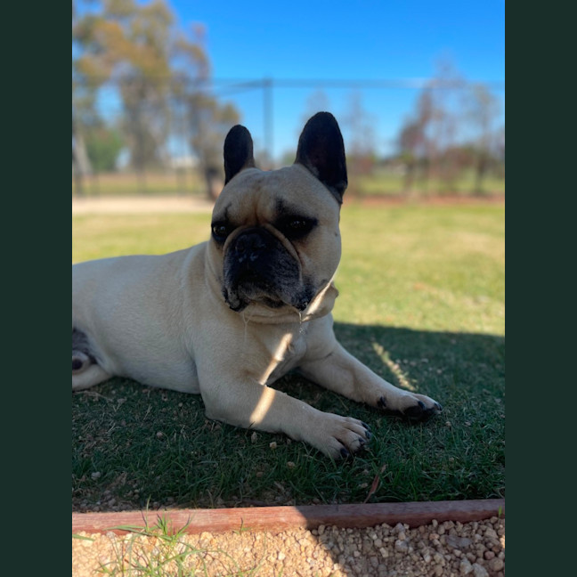 Photo of Gus