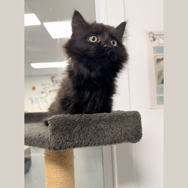 Photo of Maisy