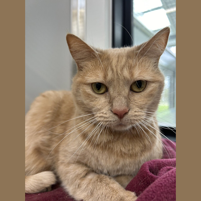 Photo of Circe