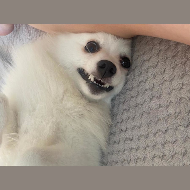 Photo of Saidee
