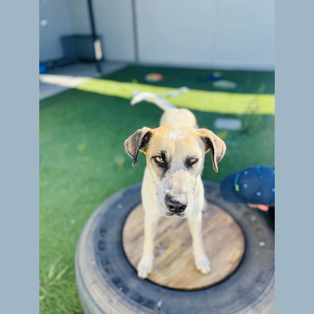 Photo of Charlotte
