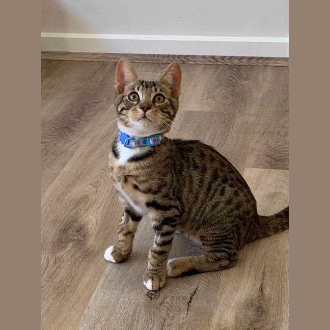 Photo of Leo