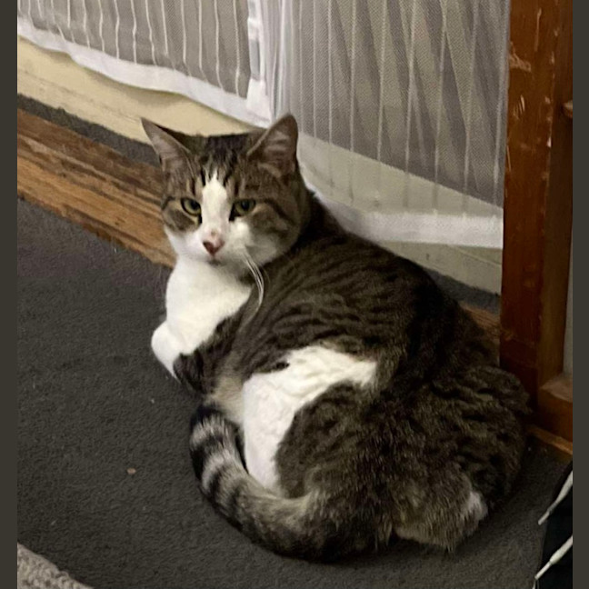 Photo of Lord Remington