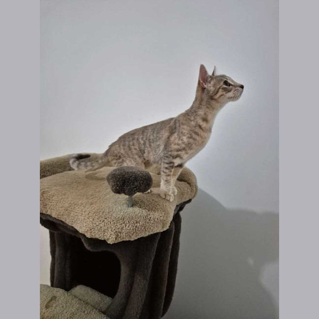 Photo of Audrey 🌹🌹🌹