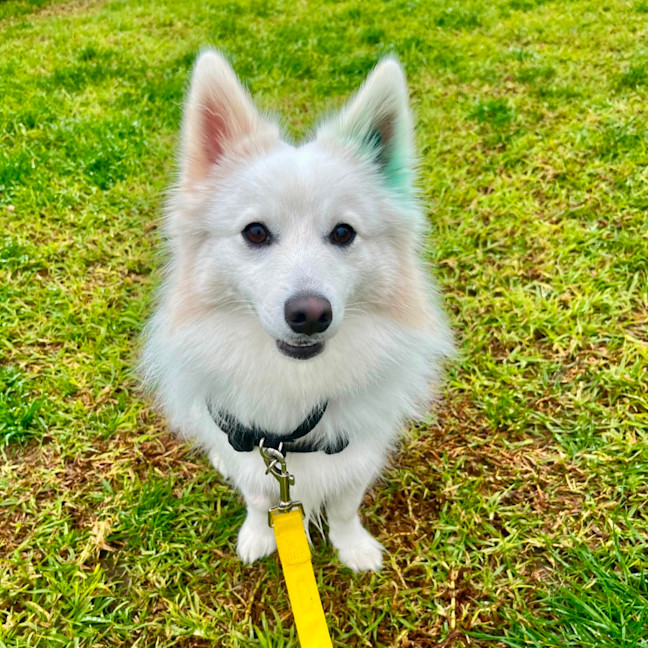 Photo of Happy