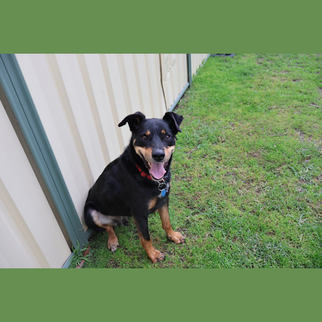 Photo of Muster