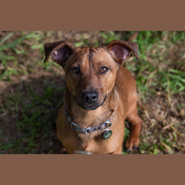 Photo of Bean And Dunkin Russelton