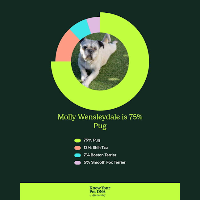 Photo of Molly Wensleydale