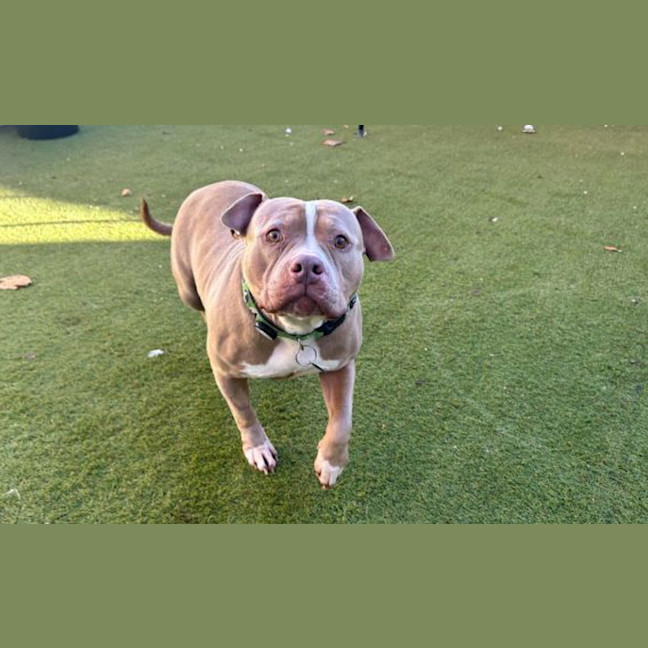 Photo of Winnie