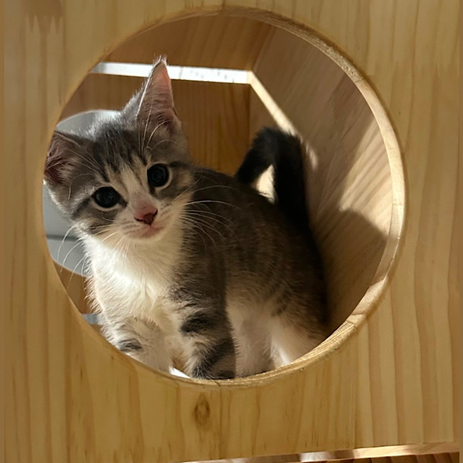 Photo of Bella 🌼🌻