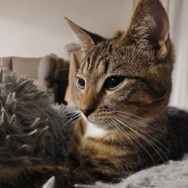 Photo of Ari
