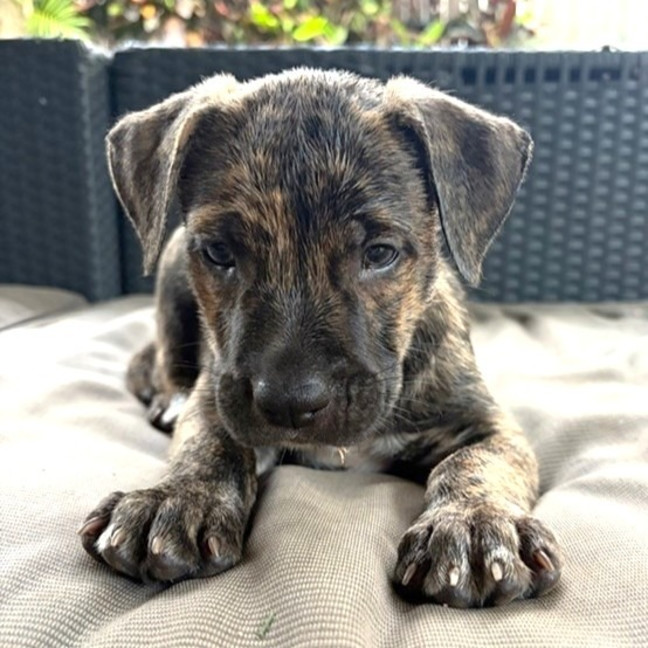 Photo of Wally