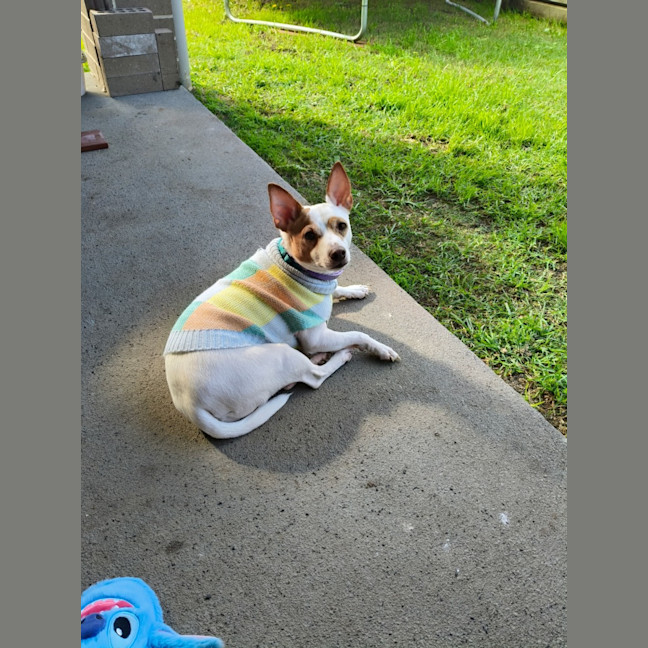 Photo of Jack 