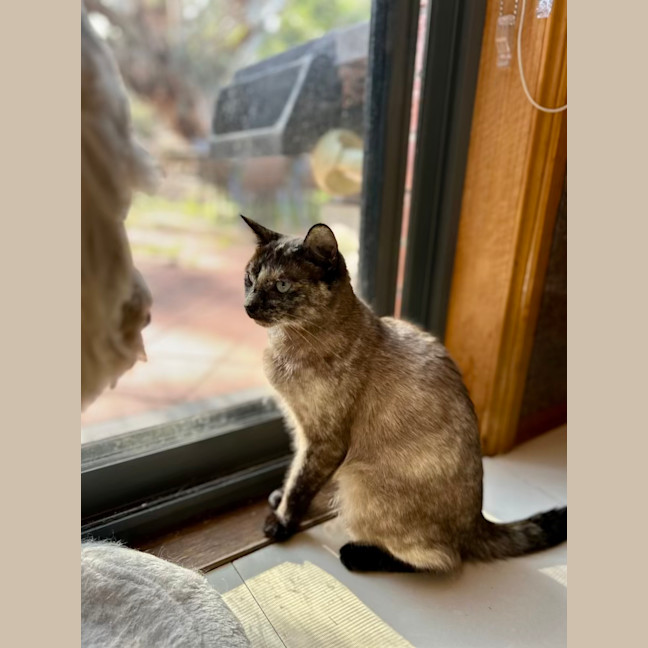 Photo of Paige   Located In Lower Plenty