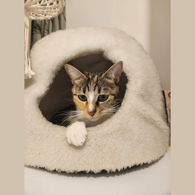 Photo of Enid