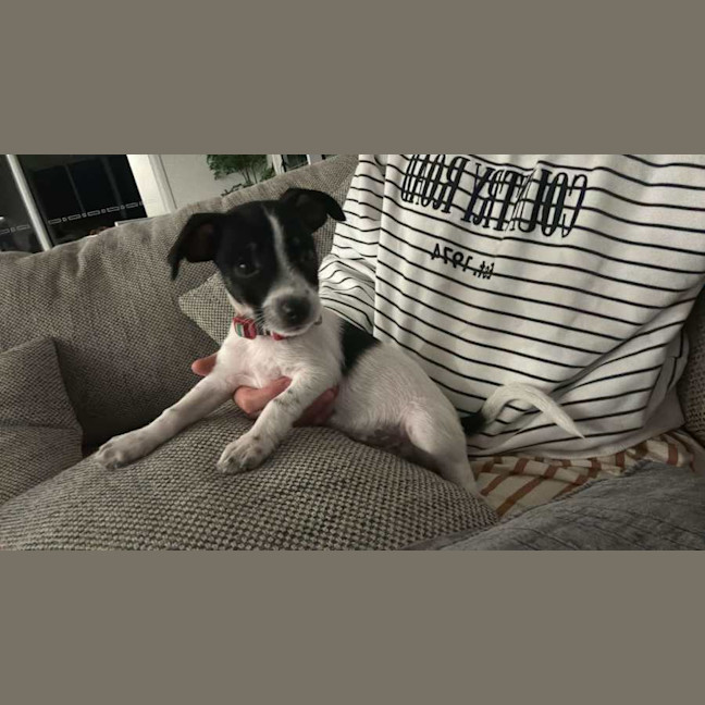 Photo of Murphy Muddle