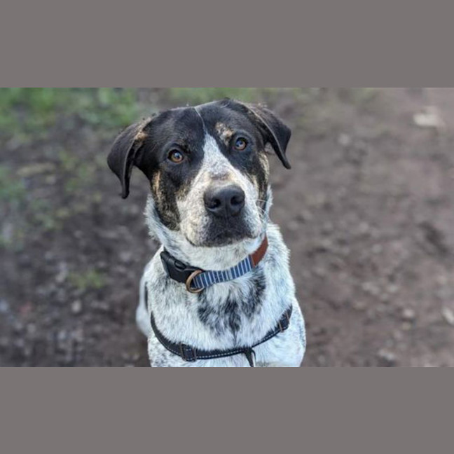 Photo of Dora