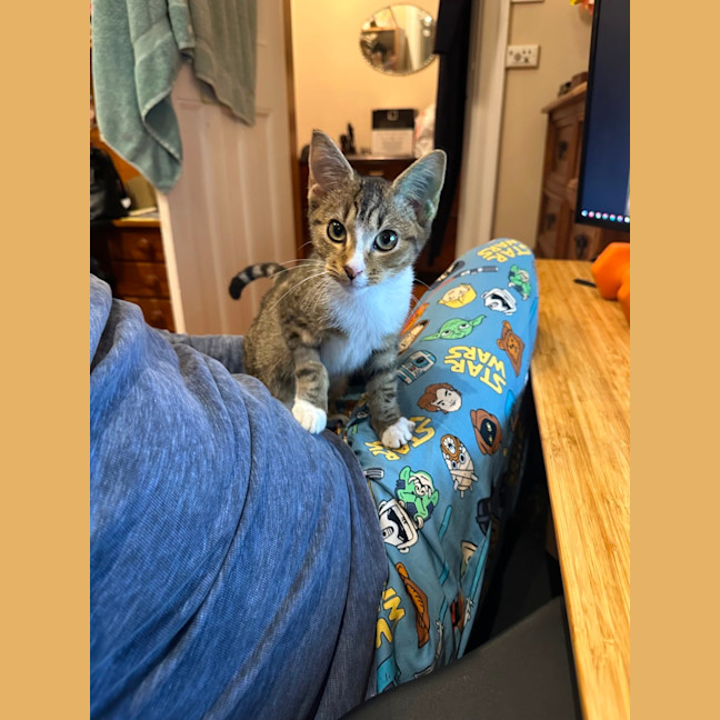 Photo of Mina