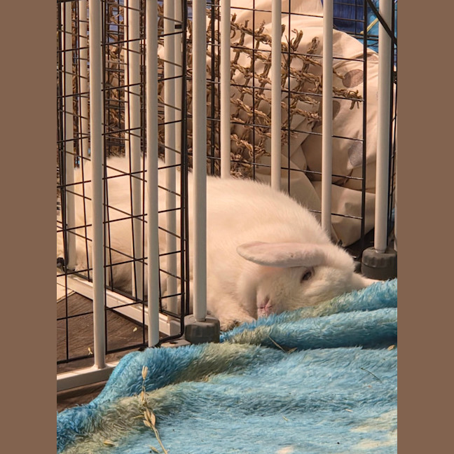 Photo of Adorable Coral 