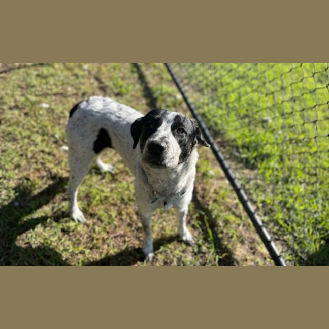 Photo of Delilah