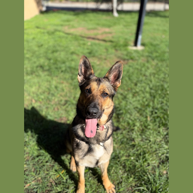 Photo of Coco