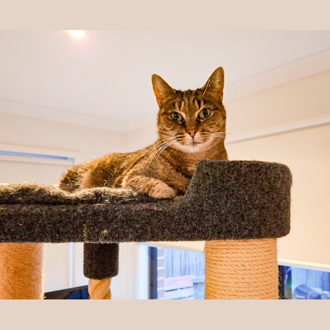 Photo of Dot